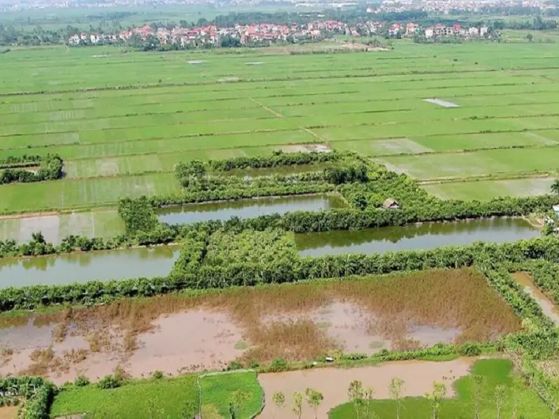 Đất BCS là gì? Quy định và mục đích sử dụng đất BCS