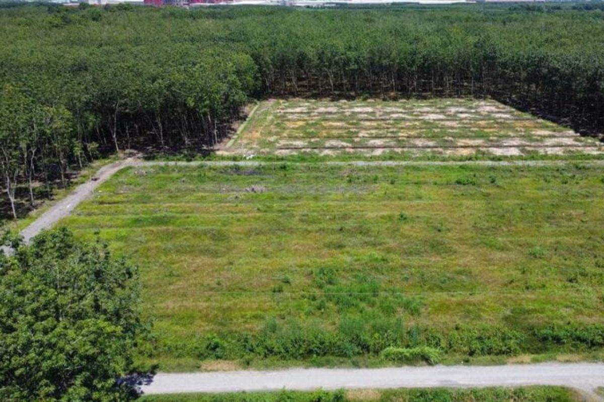 Đất Bcs Là Gì? Khi Nào đất Bcs được Cấp Sổ đỏ? - Công Ty Cổ Phần Tư Vấn Mua Bán Bất Động Sản - Golden Land - Goldenland.vn