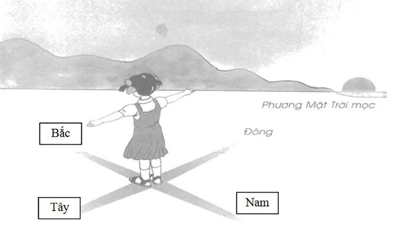 Cách xác định 4 hướng Đông Tây Nam Bắc chính xác và nhanh chóng