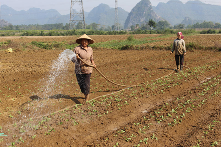 Đất nông nghiệp quỹ I, II: Quản lý đất nông nghiệp như thế nào?