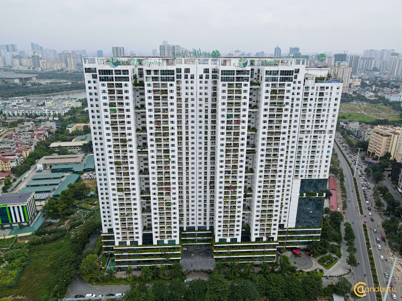 <p>Căn hộ Ecolife Capitol là tổ hợp văn phòng và nhà ở cao cấp được xây dựng trên diện tích 10.622 m2, là tòa nhà văn phòng cho thuê chuyên nghiệp tại Hà Nội đạt tiêu chuẩn hạng B. Với triết lý thiết kế Xanh - Bền vững - Thân thiện với môi trường, mỗi căn hộ là sự giao hòa hài hòa giữa con người và thiên nhiên trong toàn dự án, mang đến cho cư dân một môi trường sống trong lành, thoáng đãng.</p> <p>Căn hộ Ecolife Capitol gồm 3 block nhà cao 34-36 tầng, với tổng cộng 13 tầng căn hộ và 12 tầng văn phòng. 740 căn hộ. Ecolife Capitol gồm 5 tầng dịch vụ từ tầng 1 đến tầng 5 của tòa nhà, bao gồm trung tâm thương mại, siêu thị, quán cà phê, phòng tập gym, spa, bể bơi 4 mùa,... cùng 2 tầng hầm để ô tô và 1 tầng lửng để xe máy.</p>